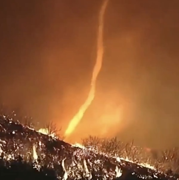 Ortaya çıkan görüntü, durumun ciddiyetini bir kere daha ortaya koydu.