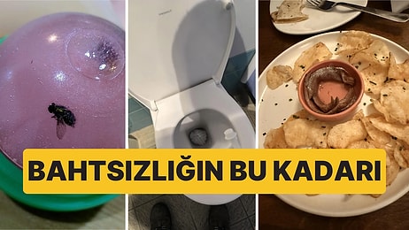 Çöle Düşse Kutup Ayılarıyla Karşılaşıp Birtakım Tatsız Olaylar Yaşayabilecek Bahtsız Kişiler