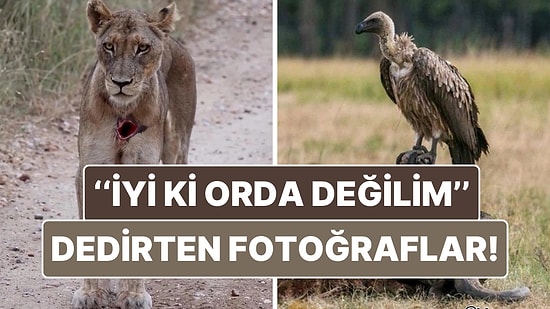 Doğanın Korkutucu Yüzünü İliklerinize Kadar Hissetmenize Sebep Olacak Birbirinden Ürkütücü 16 Yeni Fotoğraf