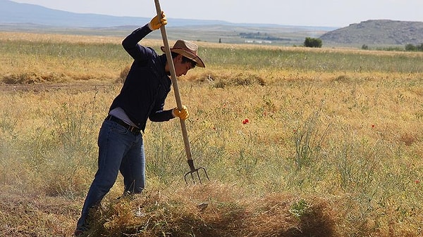 Tarım işçisi bulmak da oldukça güç. Kadir isimli bir tarım işçisi çalışacak kişi bulamadığı için tarlasını eşiyle işlemek zorunda. Tarım işçisinin maaşı ise 45-50 bin lira arasında.