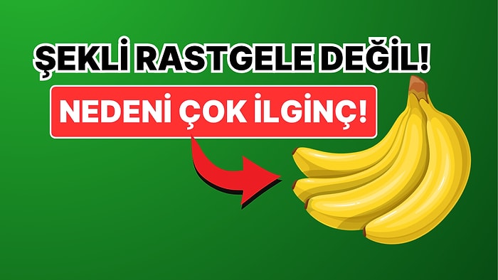 Muzlar Neden Hep Yarım Ay Şeklinde? Sebebi Çok İlginç!