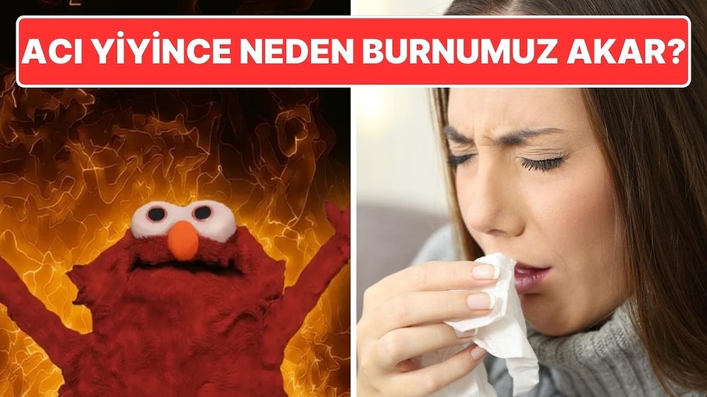 Acı Bir Şey Yediğimizde Neden Burnumuz Şelale Gibi Akar?