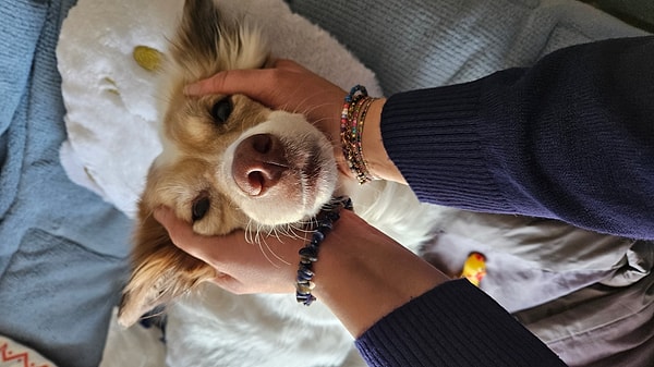 Mom of Laika