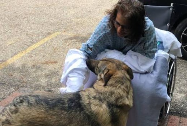 Capnocytophaga canimorsus, genellikle köpek ve kedilerin tükürüğünde bulunan bir bakteri. İnsan vücuduna bir kesik veya yara yoluyla girdiğinde, bağışıklık sistemi şiddetli bir tepki verebiliyor.