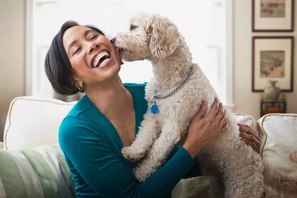 Uzmanlar, köpeklerin ağızlarının hijyen açısından güvenli olmadığını ve özellikle açık yaralarla temasından kaçınılması gerektiğini vurguluyor.