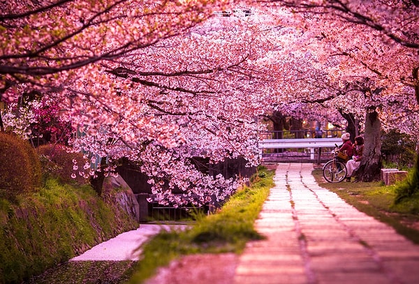 5. Philosopher's Walk, Kyoto