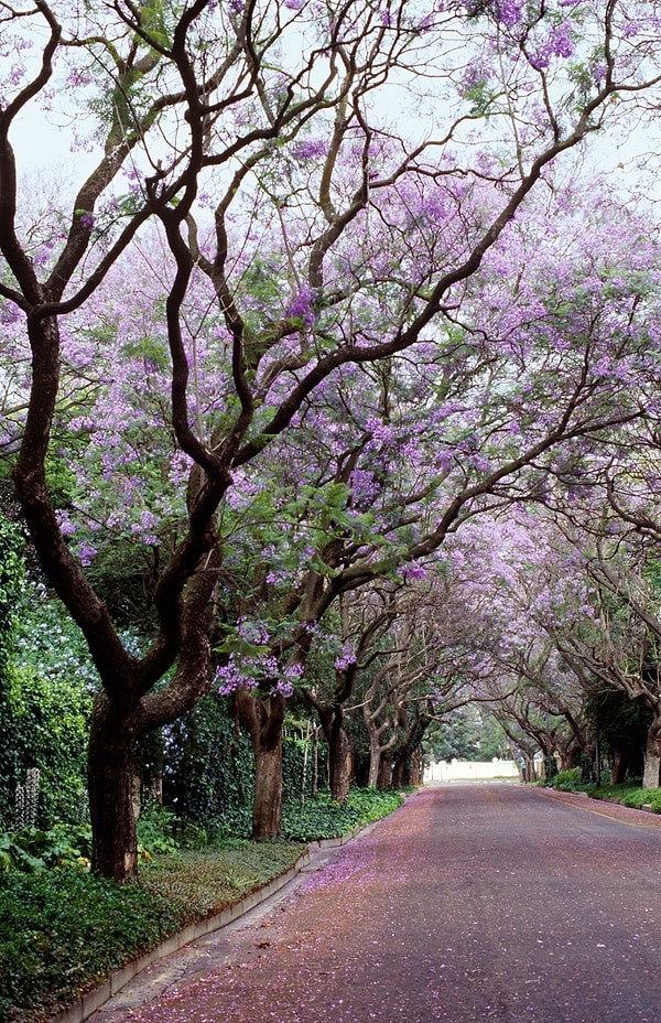 15. Herbert Baker Caddesi, Pretoria, Güney Afrika