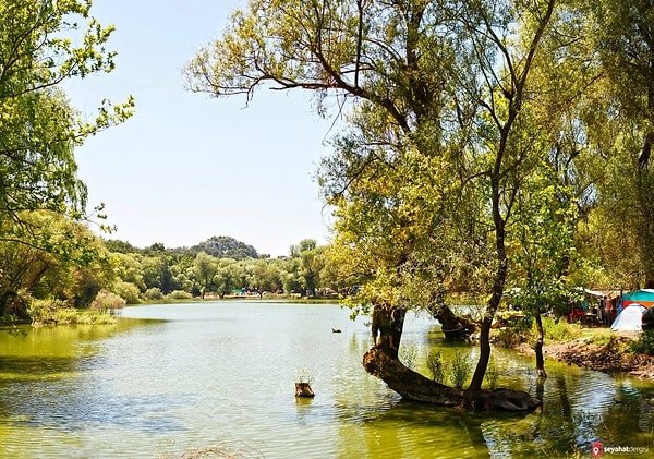 4. Karagöl İzmir Tabiat Parkı