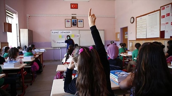 Yönetmeliğe göre, güzel sanatlar müzik ilkokulu, güzel sanatlar müzik ortaokulu, spor ortaokulu ve meslek ortaokulu, "ilköğretim düzeyinde farklı program uygulayan okullar" olarak tanımlandı.