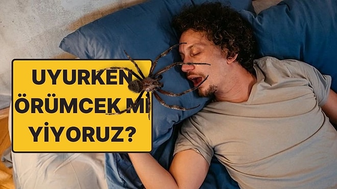 Uyurken Örümcek ve Böcek Yediğimiz Gerçekten Doğru Olabilir mi?