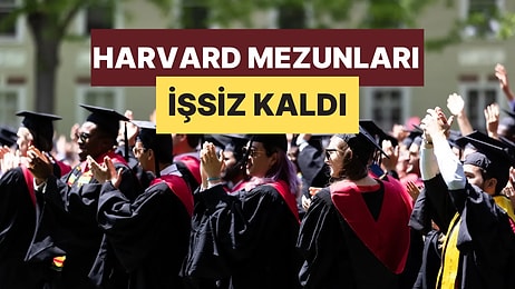 Harvard Mezunları İşsiz Kaldı! Boğaziçi Üniversitesi Profesöründen “Acayip Bir Şeyler Oluyor” Yorumu Geldi