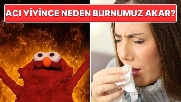 7. Acı Bir Şey Yediğimizde Neden Burnumuz Şelale Gibi Akar?