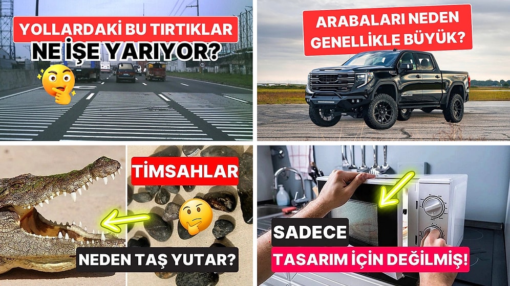 Sohbetlerin Aranan İsmi Olacaksınız: Arkadaş Ortamında Satabileceğiniz 20 Şaşırtıcı Bilgi