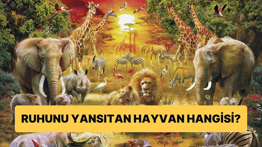 Ruhunu Yansıtan Hayvan Hangisi?