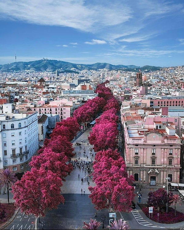 4. La Rambla, Barcelona