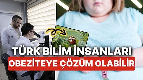 Türk Bilim İnsanlarından Obeziteye Çözüm Olabilecek Araştırma! Patates Böcekleri Obeziteye Çözüm Olabilir mi?