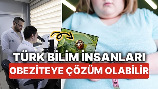 Türk Bilim İnsanlarından Obeziteye Çözüm Olabilecek Araştırma! Patates Böcekleri Obeziteye Çözüm Olabilir mi?