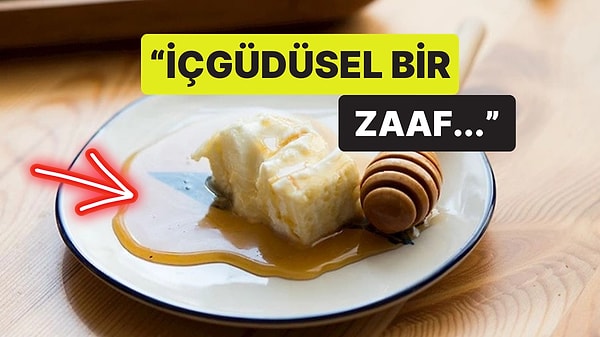 Kapak Görseli