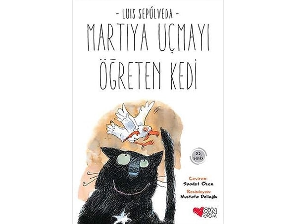 Martıya Uçmayı Öğreten Kedi