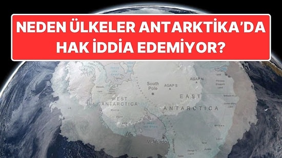 Hiçbir Ülkenin Antarktika'nın Üzerinde Hak İddia Edememesinin Sebebi Ne?