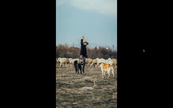 Sohbetleri sırasında “Asıl mesleğim çobanlık değil öğretmenim ben aslında, atanamadık.” diyerek aslında öğretmen olduğunu açıklaması isleyenleri uzun uzun düşündürdü.