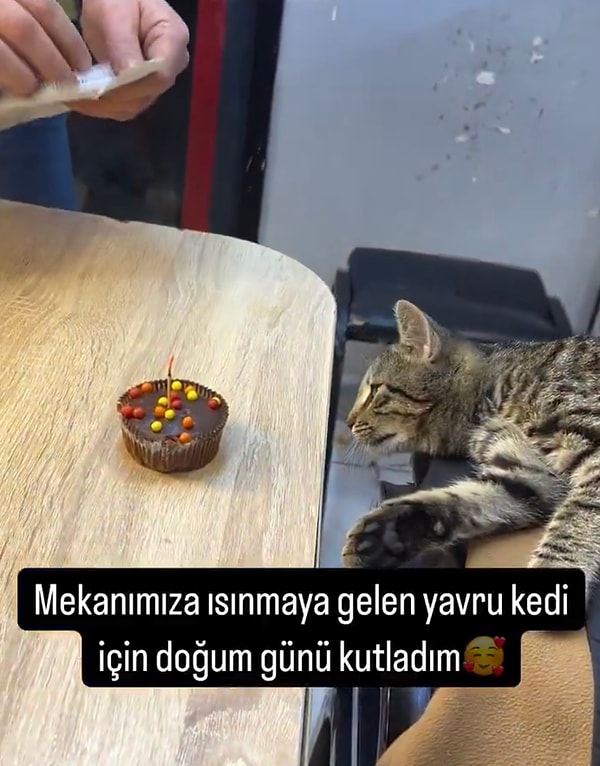 Dükkan sahibi, bir kekin üstüne kibrit dikerek Minnak’ın doğum gününü kutlamıştı.