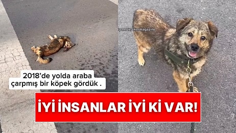 İyi İnsanlar İyi ki Var: Yolda Yaralı Halde Bulduğu Köpeğe Yeni Bir Hayat Sundu