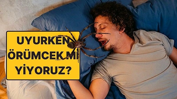 6. Uyurken Örümcek ve Böcek Yediğimiz Gerçekten Doğru Olabilir mi?