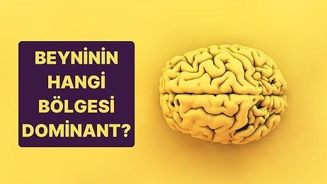 Beyninin Hangi Bölgesi Dominant?