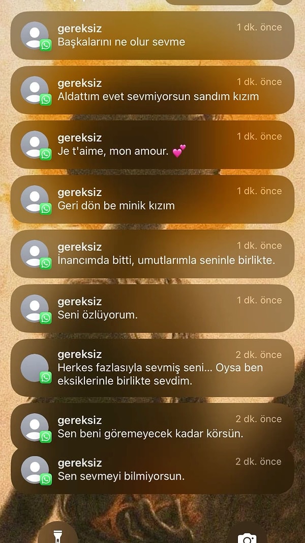 Geçtiğimiz günlerde bir kadın, araya Fransızca kelimeler sıkıştıran eski sevgilisini bu şekilde paylaştı.