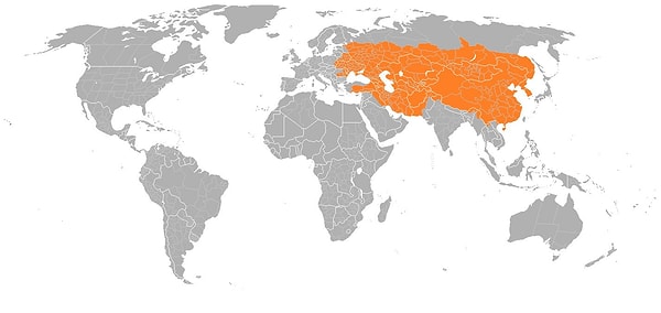 7. Moğol İmparatorluğu'nun tahmini sınırları