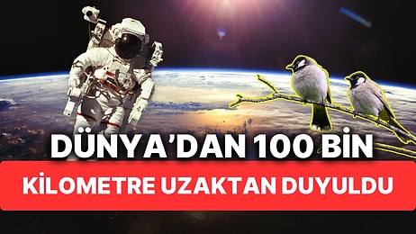 Uzayın Derinlerinden "Kuş Cıvıltıları" Geliyor! Dünya'dan 100 Bin Kilometre Uzaktan Kaydedildi!