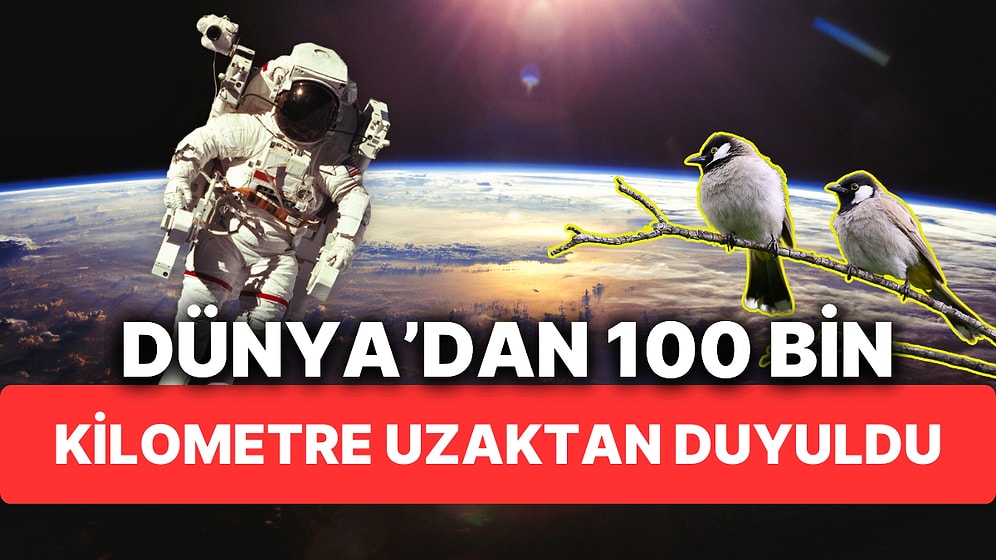 Uzayın Derinlerinden "Kuş Cıvıltıları" Geliyor! Dünya'dan 100 Bin Kilometre Uzaktan Kaydedildi!