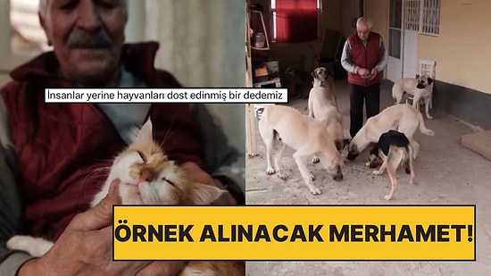 Köydeki Kedi ve Köpeklere Bakan Turan Amca: “Dünya Bana Düşman Olsa Ben Bunları Bırakmam”