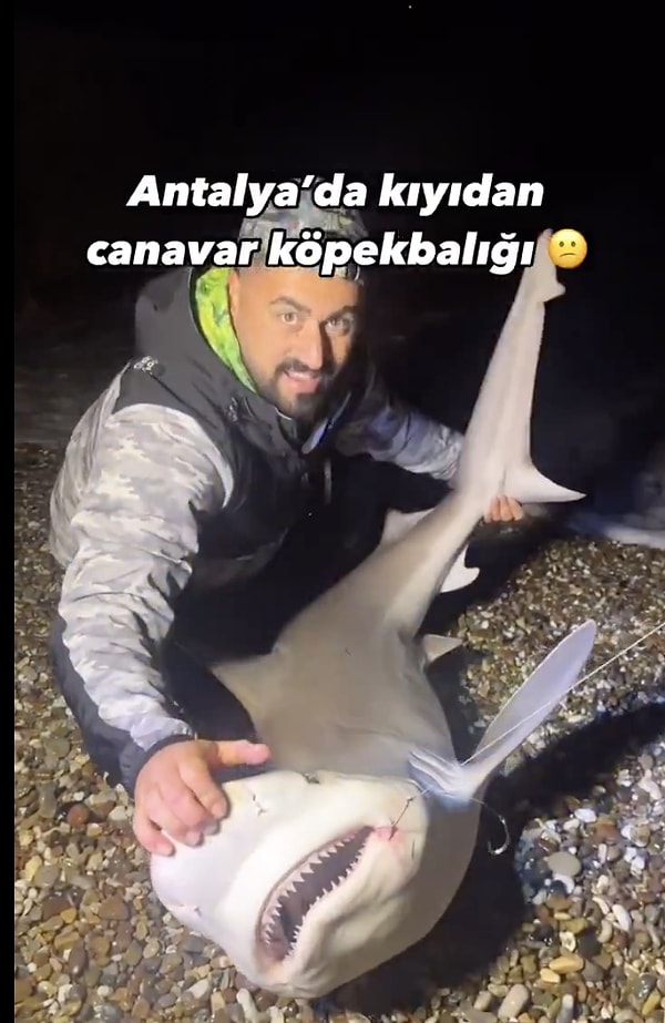 Antalya'da kıyıya vuran bir köpekbalığını tekrardan denize gönderen adam gündem oldu.