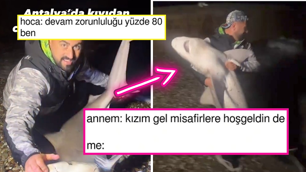 Antalya'da Kıyıya Vuran Köpekbalığının Bezgin Halleri Goygoycuların Diline Fena Düştü