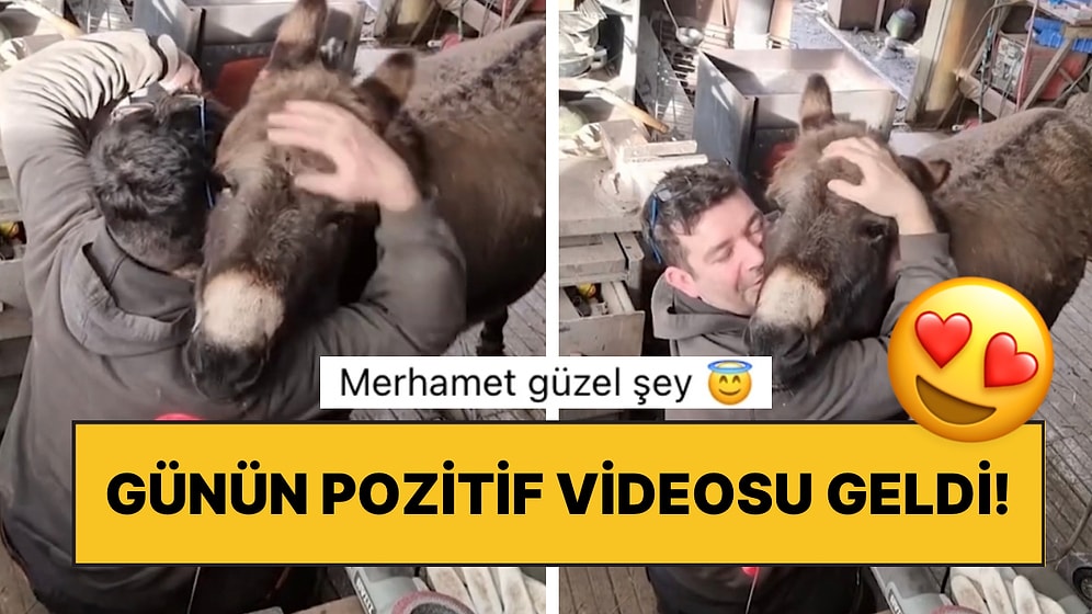 Sevgi Saati Gelen Eşeğin Sahibinin Yanına Giderek Sarılmayı Beklediği Anlara Kalplerimiz Eridi