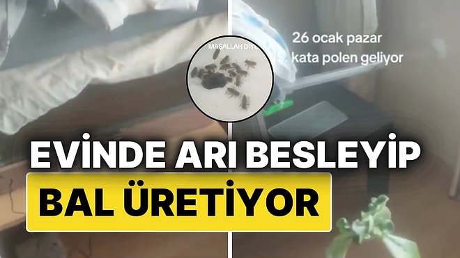 15. Katta Dışarıyla Bağlantılı Sistem Kurup Evinde Bal Üreten Adam Gündem Oldu