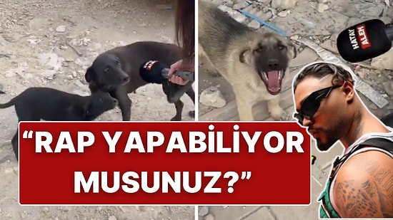 Hatay’daki Muhabirden Lvbel C5’in 'HAVHAVHAV' Şarkısına Gönderme: Sokak Köpekleriyle Röportaj Yaptı!