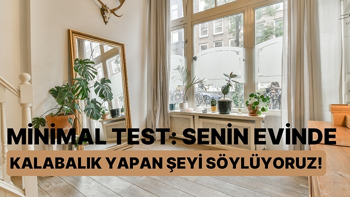 Minimal Test: Senin Evinde Kalabalık Yapan Şeyi Söylüyoruz!