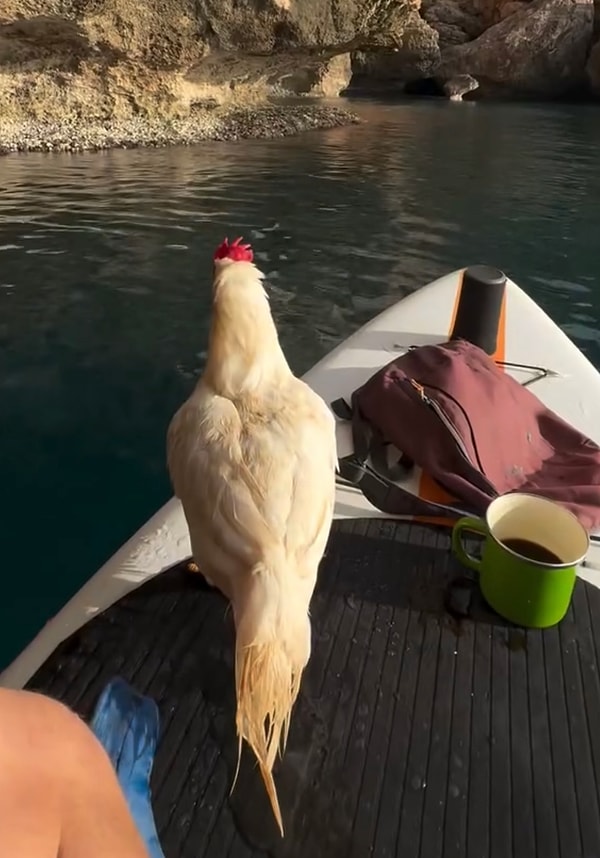 Denizde horoz bulma olayını da başka ülkeye kaptırmamışken ekip, unutulmaz bir an yaşamış olmuştu.