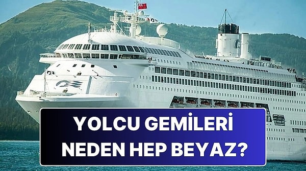 9. Yolcu Gemilerinin Hep Beyaz Olmasının Ardındaki Mantıklı Neden