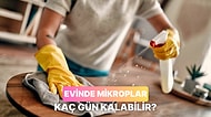Senin Evinde Bir Mikroorganizma Kaç Gün Barınabilir?