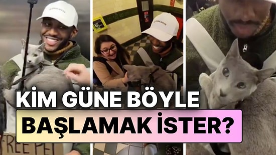 Güne Pozitif Başlamak İçin İlginç Yöntem: Asansörde Bedava Kedi Terapisi!