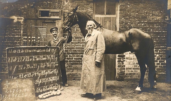 Sorular hem sözlü hem yazılı olarak sorulabiliyordu. Örneğin, “Ayın sekizinci günü salıysa, sonraki cuma hangi tarihe denk gelir?” diye sorulduğunda Hans, tam 11 kez toynağını yere vurarak doğru cevabı veriyordu.