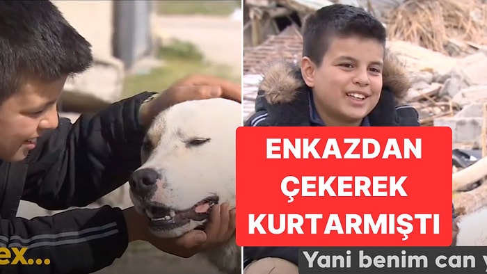 12 Yaşındaki Dostunu Enkaz Altından Kurtaran Patili Kahraman 'Alex' Zehirlenerek Katledilmiş