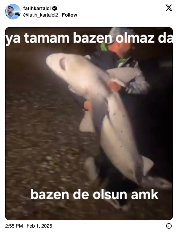 Bezgin köpüş balığını unutmayalım.