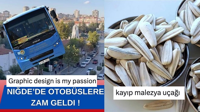 Tasarımda Coşanlardan Nesli Tükenen Ayçekirdeğine Son 24 Saatin Viral Tweetleri