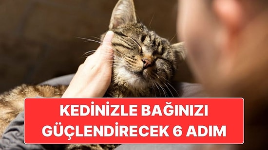 Kedinizle Olan Bağınızı Güçlendirmek İçin Uygulayabileceğiniz 6 Tatlı Adım