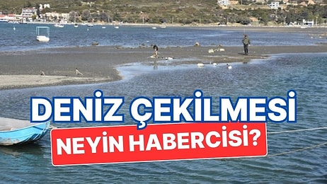 Deniz Çekilmesi Nedir, Neden Olur? Deniz Çekilmesi Neyin Habercisidir?